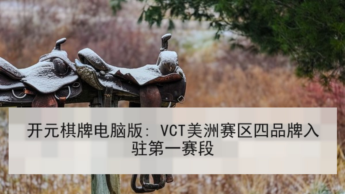 开元棋牌电脑版: VCT美洲赛区四品牌入驻第一赛段